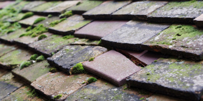 Scraptoft roof repair costs
